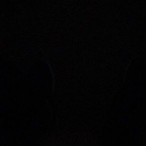 Meet your Posher, Keya